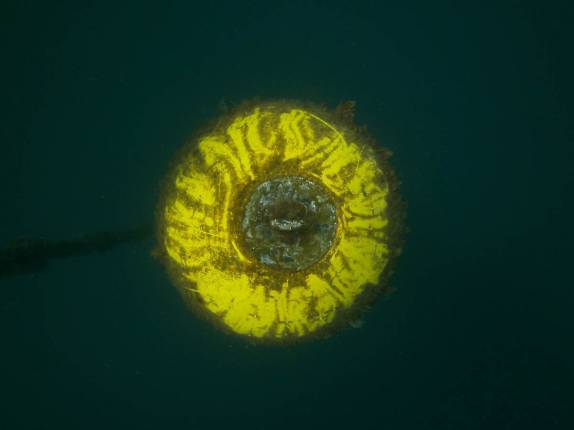 Boia sinalizadora de local de naufrágio, perdida no azul infinito do mar, em St. Pierre, no norte de Martinica